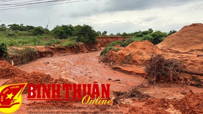 Phan Thiết:﻿ Phòng chống thiên tai “4 tại chỗ” gắn với xây dựng cộng đồng an toàn
