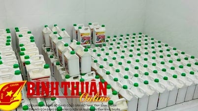 Phòng tránh phân bón giả, kém chất lượng