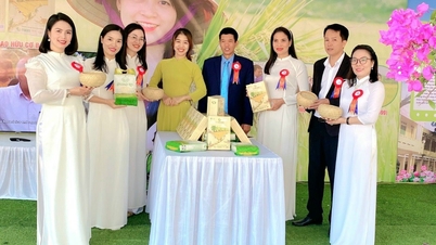 Tứ Kỳ - Điểm đến hấp dẫn du khách