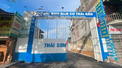 Hải Dương kiên quyết thu hồi tiền sử dụng đất dự án