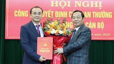 Đồng chí Bùi Mạnh Tường làm Thư ký Bí thư Tỉnh ủy Hải Dương