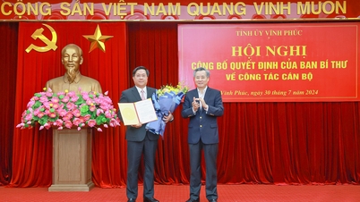Thứ trưởng Kế hoạch và Đầu tư Trần Duy Đông giữ chức Phó Bí thư Tỉnh ủy Vĩnh Phúc