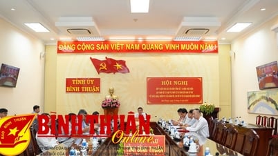Comments on the draft amendment and supplement to Regulation No. 171-QD/TW of the Central Party Secretariat