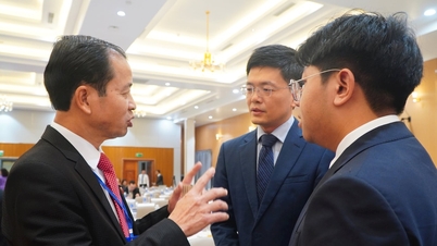 2019년~2024년 동안 외국 기관과 개인이 1조 VND 이상을 광남에 후원했습니다.