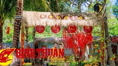Mui Ne is in the top 10 domestic destinations most loved by Vietnamese tourists.