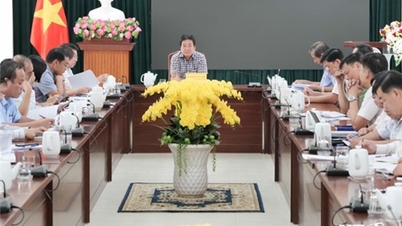 Ban Chỉ đạo phát triển du lịch tỉnh: Triển khai nhiệm vụ 6 tháng cuối năm 2024