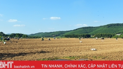 Nông dân Hương Khê tất bật xuống giống vụ đông