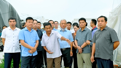 Phó Thủ tướng Chính phủ Lê Thành Long tới thăm, chia sẻ với người dân Hải Dương bị thiệt hại do bão số 3