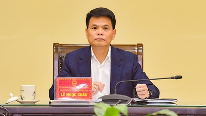 ទីក្រុង Hai Duong ពិចារណាលើសំណើវិនិយោគសម្រាប់គម្រោងតំបន់លំនៅដ្ឋានថ្មីចំនួន 6 និងតំបន់លំនៅដ្ឋាន