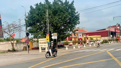 Install speed bumps at 8 intersections with Provincial Road 391 in Tu Ky