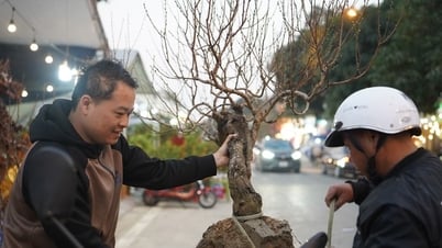 Nhộn nhịp chợ hoa Tết ở thành phố vùng biên