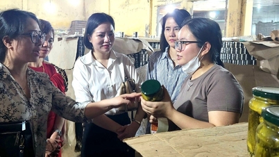 គណៈប្រតិភូធុរកិច្ច Hai Duong ជំរុញពាណិជ្ជកម្ម