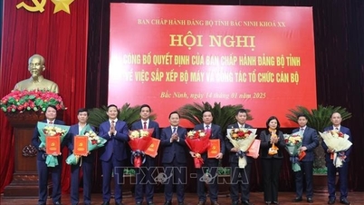 Tỉnh đầu tiên công bố quyết định hợp nhất Ban Tuyên giáo và Ban Dân vận Tỉnh ủy