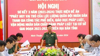 សេចក្តីសង្ខេបរយៈពេល 3 ឆ្នាំនៃការអនុវត្តគម្រោង 1371