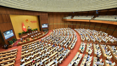 国会は議場で有権者の請願の処理状況の監視結果について議論した。