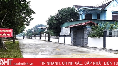 Đức Thọ khẩn trương khống chế dịch tả lợn Châu Phi