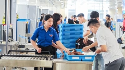 Nỗ lực tìm giải pháp hạ nhiệt giá vé máy bay
