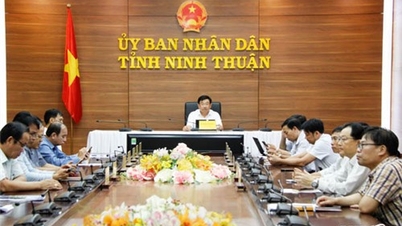Online meeting to comment on draft Decree on sea encroachment activities