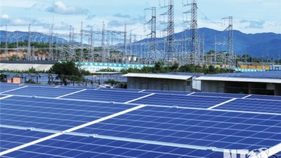 Thuận Nam nỗ lực trở thành vùng trọng điểm kinh tế phía Nam của tỉnh