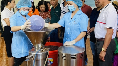 Thúc đẩy liên kết trong phát triển du lịch