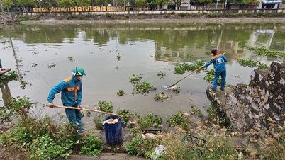 Hai Duong City supports collection of dead fish on the river