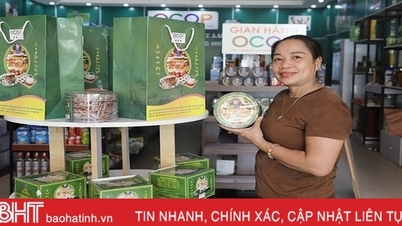 Cu Do Ha Tinh មានវត្តមាននៅអឺរ៉ុប
