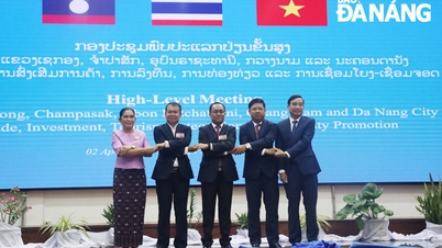 ទីក្រុង Da Nang ស្នើឱ្យកែលំអហេដ្ឋារចនាសម្ព័ន្ធដឹកជញ្ជូន ភស្តុភារ និងនីតិវិធីរដ្ឋបាល ដើម្បីជំរុញការអភិវឌ្ឍន៍ច្រករបៀងសេដ្ឋកិច្ចខាងកើត-ខាងលិចទី២
