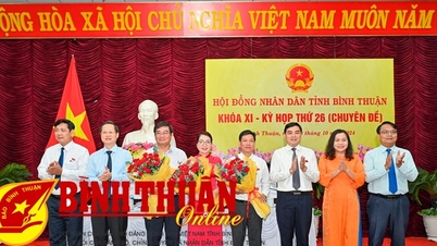 Kỳ họp thứ 26 - HĐND tỉnh khóa XI:﻿ Bầu chức vụ Trưởng ban Kinh tế