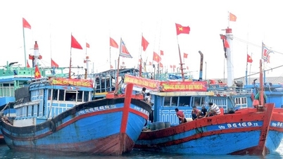 Thủ tướng Chính phủ ra công điện về việc tập trung ứng phó bão số 2 và mưa lũ