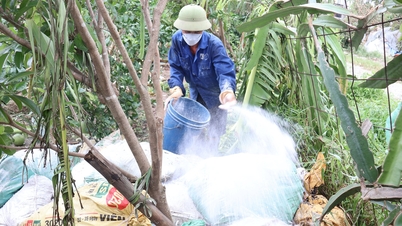 Nông dân Hải Dương gia cố, xử lý chuồng trại bị thiệt hại sau do bão số 3