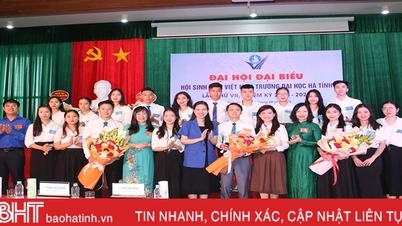 កសាងបរិយាកាសអភិវឌ្ឍន៍ទូលំទូលាយសម្រាប់និស្សិតនៃសាកលវិទ្យាល័យ Ha Tinh