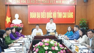 អនុប្រធានគណៈប្រតិភូរដ្ឋសភាខេត្ត Be Minh Duc បានចូលរួមក្នុងការសួរដេញដោលក្នុងសម័យប្រជុំលើកទី៣១ នៃគណៈកម្មាធិការអចិន្ត្រៃយ៍រដ្ឋសភា។