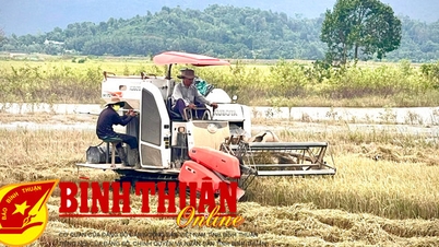 បញ្ចប់ការប្រមូលផលស្រូវរដូវក្តៅ-រដូវស្លឹកឈើជ្រុះ សាបព្រួសដំណាំរដូវរងា-និទាឃរដូវ ដើម្បីជៀសវាងទឹកជំនន់