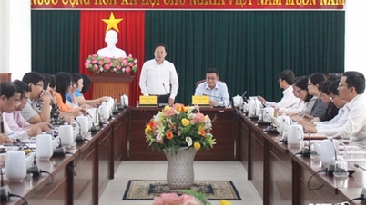 NTO - Đoàn giám sát Ban Thi đua - Khen thưởng Trung ương làm việc với Hội đồng Thi đua