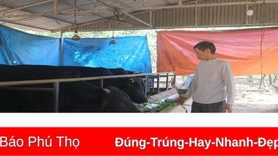Bí thư Chi bộ người Dao làm kinh tế giỏi