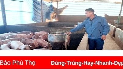តម្លៃជ្រូកឡើងថ្លៃ ការផ្គត់ផ្គង់នៅតែធានា