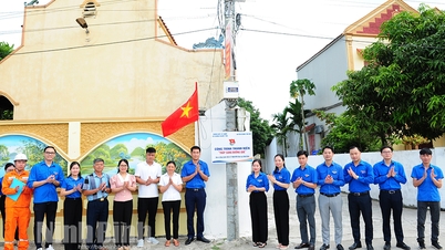 ស៊េរីនៃសកម្មភាពឆ្លើយតបទៅនឹងយុទ្ធនាការយុវជនស្ម័គ្រចិត្តរដូវក្តៅឆ្នាំ 2024
