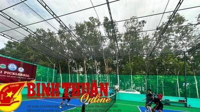 ការប្រកួត Pickleball ដ៏រំភើបសម្រាប់ Gia Long Open Cup
