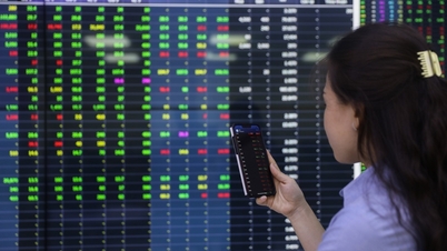 블루칩 그룹, VN지수 1,200포인트로 하락