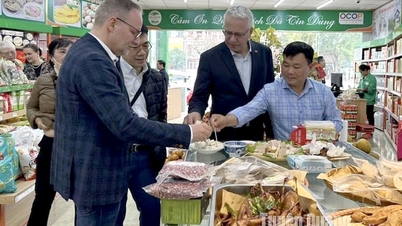 Trung tâm Nông sản xanh Sáng Nhung: Đa dạng các sản phẩm đặc sản vùng miền phục vụ Lễ hội Thành Tuyên