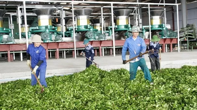 Lai Châu: Thu hút đầu tư lĩnh vực công nghiệp để phát huy tiềm năng, lợi thế
