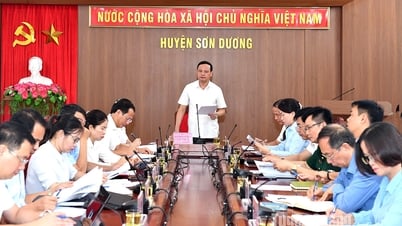 អនុវត្ត​ប្រកបដោយ​ប្រសិទ្ធភាព​នូវ​ការរៀបចំ​អង្គភាព​រដ្ឋបាល​ឃុំ​-​សង្កាត់​នៅ​ខេត្ត​សឺន​ឌួង​