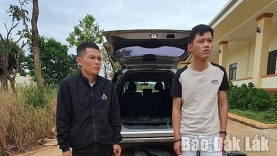 Bắt giữ hai đối tượng vận chuyển trên 126 kg pháo