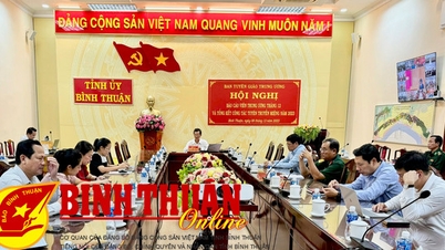 សន្និសីទអនឡាញ ដើម្បីដាក់ពង្រាយការផ្សព្វផ្សាយផ្ទាល់មាត់ និងកិច្ចការរាយការណ៍ក្នុងឆ្នាំ 2024