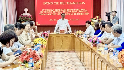 រដ្ឋមន្ត្រីក្រសួងការបរទេស Bui Thanh Son ធ្វើការជាមួយមន្ទីរការបរទេសខេត្ត Dien Bien