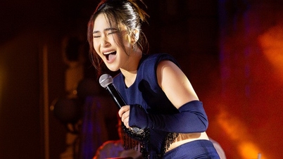 Singer Huong Tram files complaint against person spreading rumors about going to the US to give birth