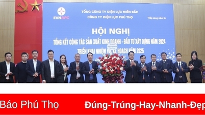 Tổng sản lượng điện thương phẩm năm 2024 đạt hơn 4,1 tỷ kWh