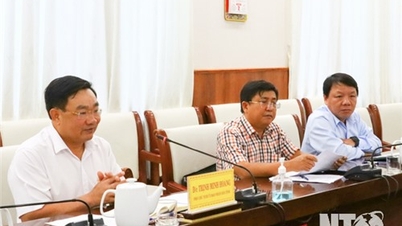 Lãnh đạo UBND tỉnh làm việc với các nhà đầu tư dự án năng lượng