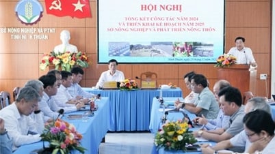 វិស័យកសិកម្មសង្ខេបការងារក្នុងឆ្នាំ 2024