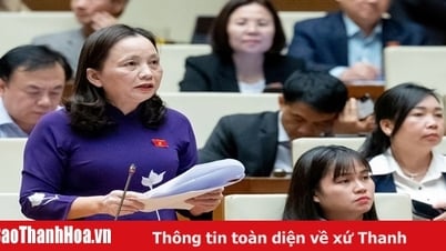 National Assembly Delegate Cam Thi Man (National Assembly Delegation of Thanh Hoa Province) contributed comments on the draft Law on Special Consumption Tax (amended)